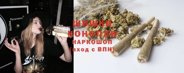 стафф Волоколамск