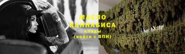 гашик Верея