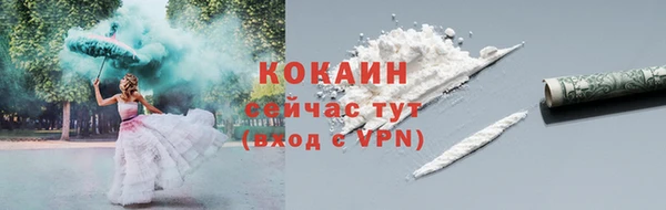 гашик Верея