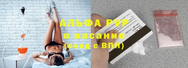 гашик Верея
